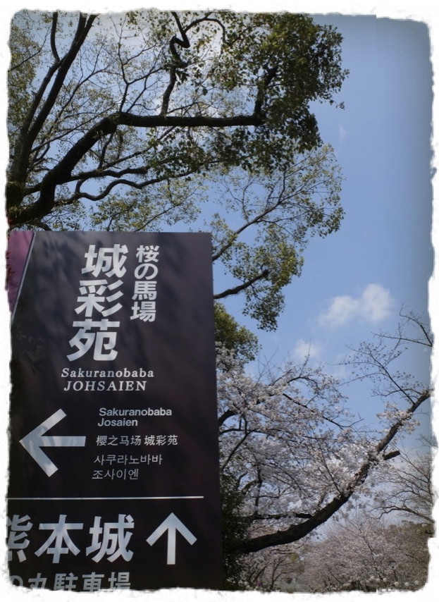 c0345081_1382299.jpg