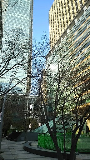 e0020682_20132192.jpg