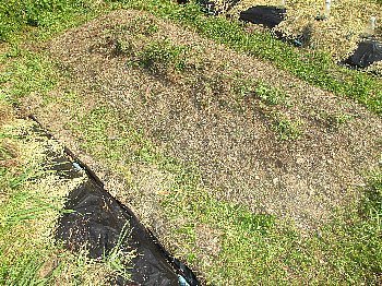f0003283_21314885.jpg