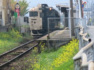 e0130185_1147140.jpg