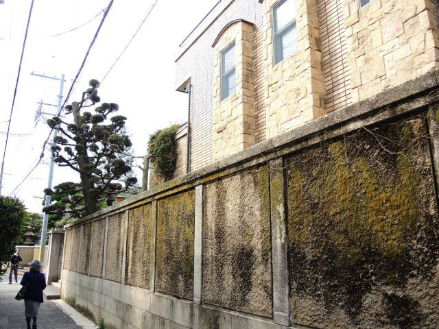 f0100593_13272836.jpg