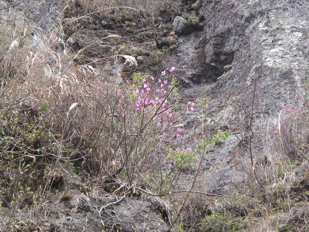 a0166196_10574872.jpg