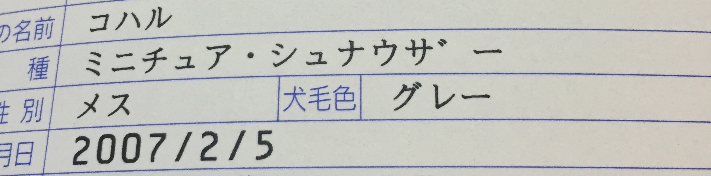b0188998_19102202.jpeg
