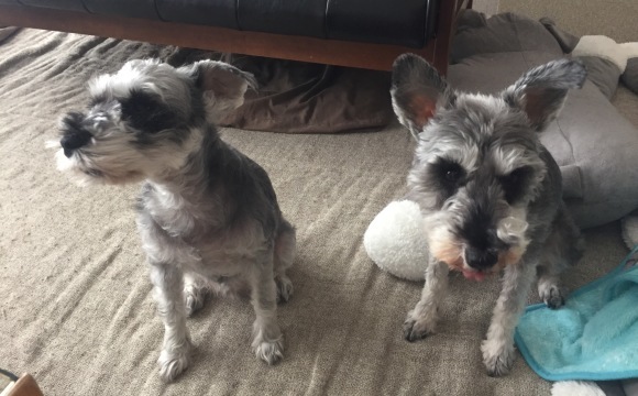 b0188998_19111840.jpeg