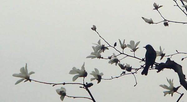 c0015099_20215098.jpg
