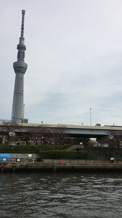 b0160300_1411068.jpg