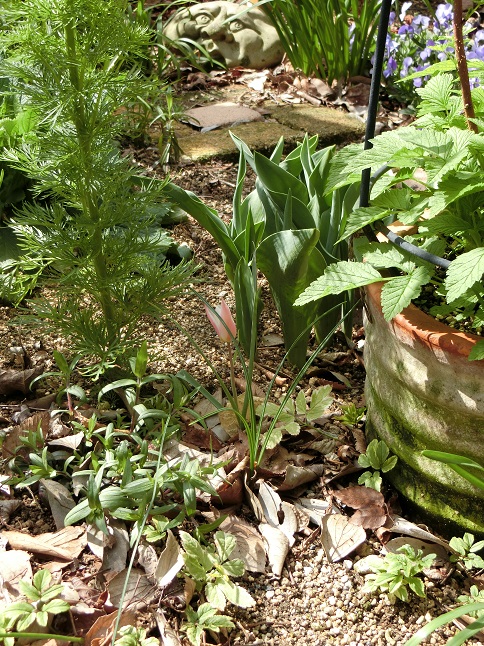 e0234004_20105929.jpg
