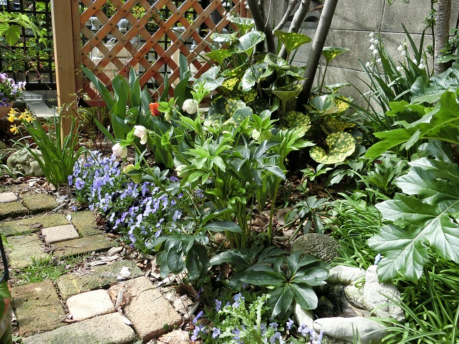 e0234004_20112763.jpg