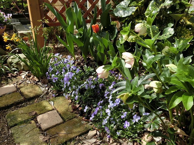 e0234004_20113740.jpg