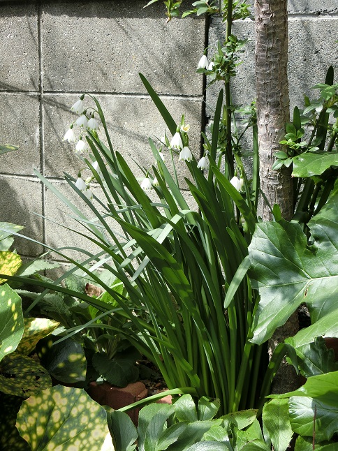 e0234004_2011947.jpg