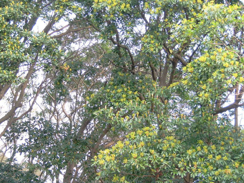a0125419_07411054.jpg