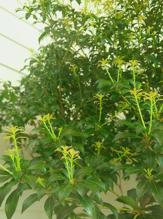 b0314620_23272360.jpg
