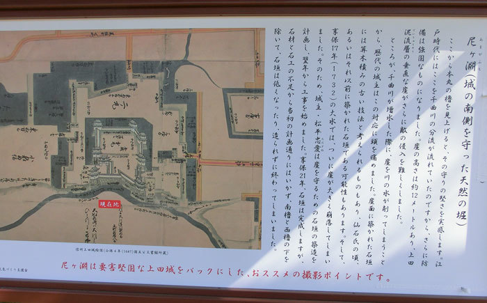 d0066822_14225682.jpg