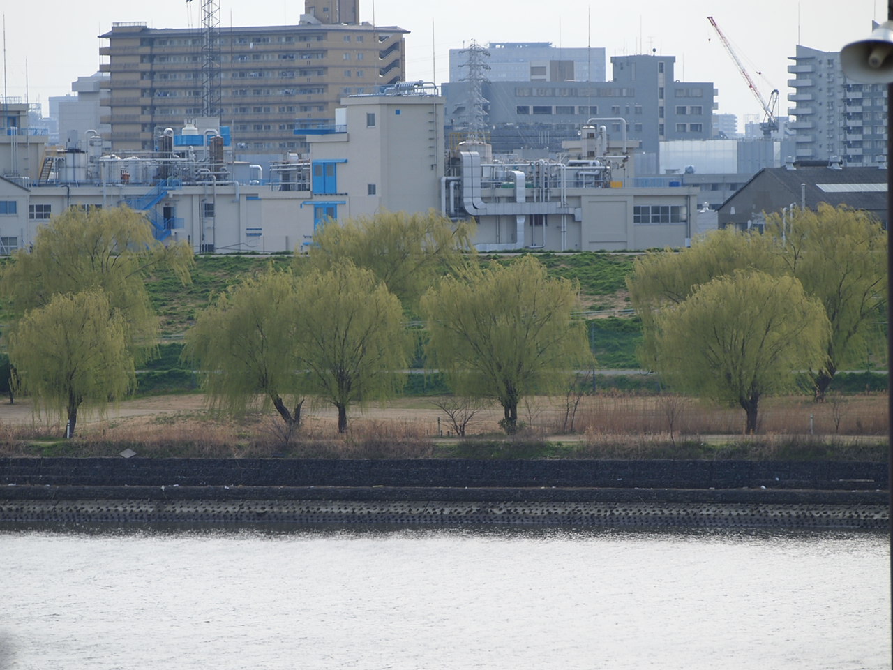 a0214329_824998.jpg