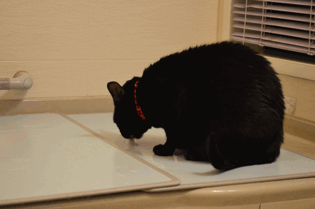 c0136736_2251826.gif