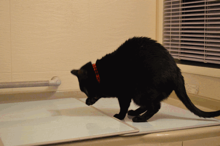 c0136736_225258.gif