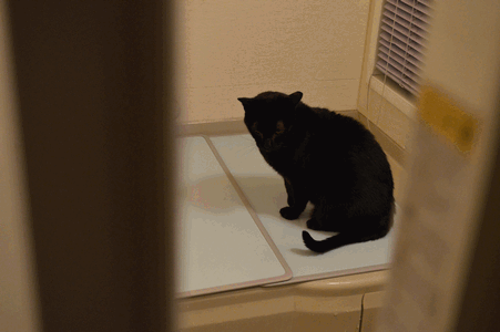 c0136736_2253185.gif