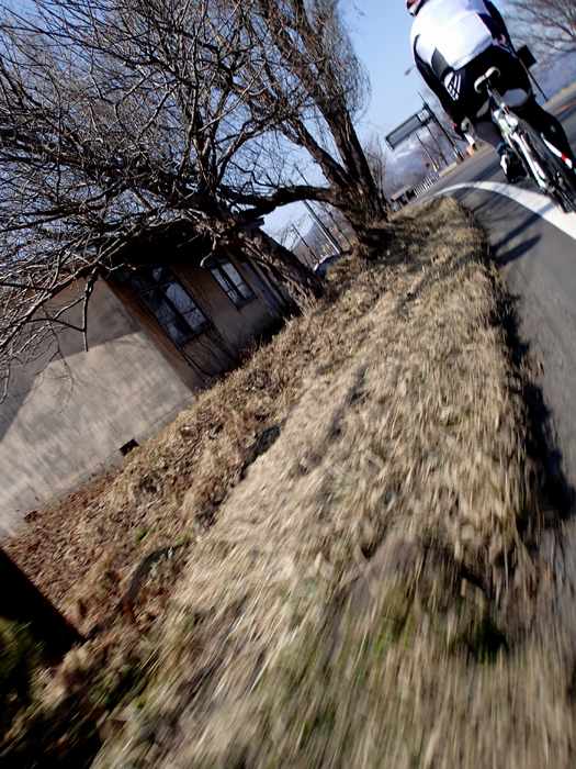c0288736_23354811.jpg
