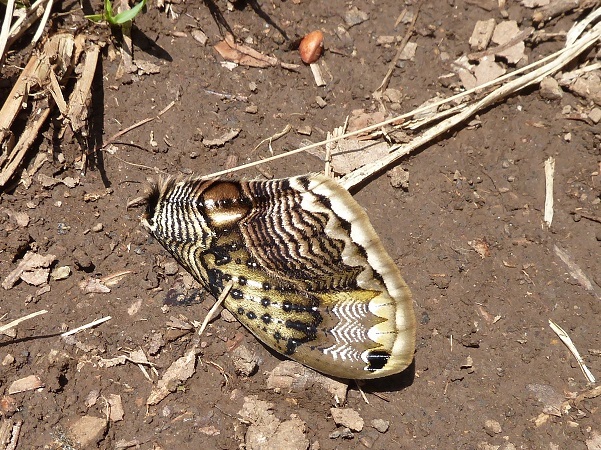 d0288144_09431238.jpg