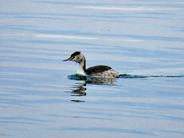 f0214649_2534162.jpg