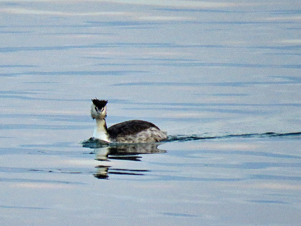 f0214649_254673.jpg