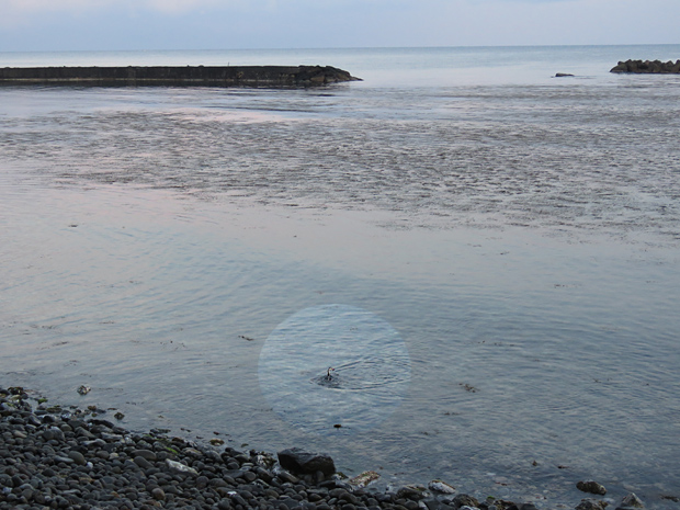f0214649_341712.jpg