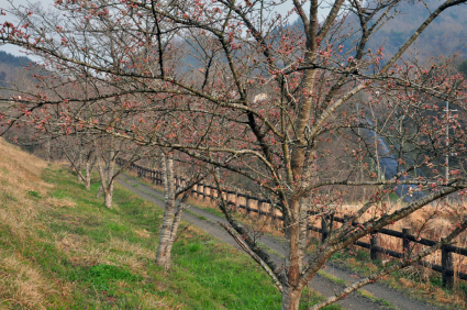 b0214652_17475635.jpg