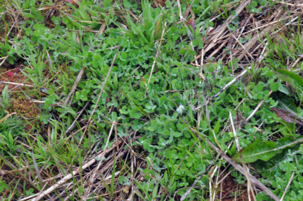 b0214652_17515656.jpg
