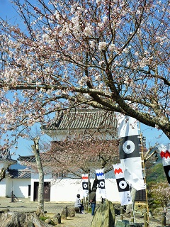 c0179853_1041437.jpg
