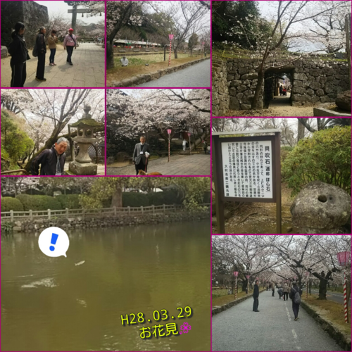 f0234053_039640.png