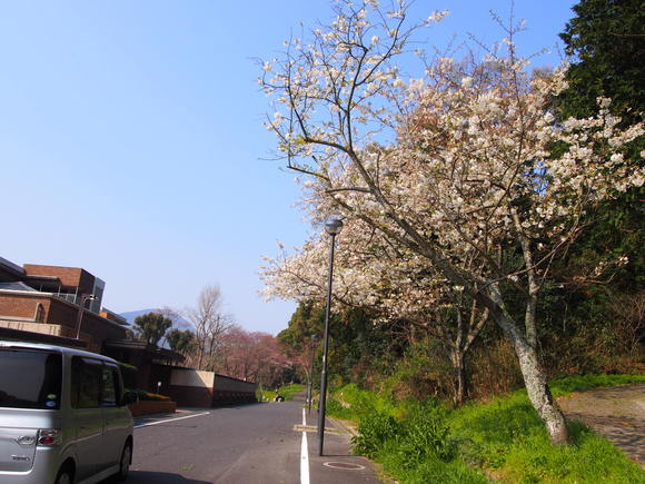 f0043559_17421946.jpg