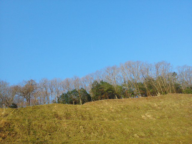 f0061067_2003978.jpg