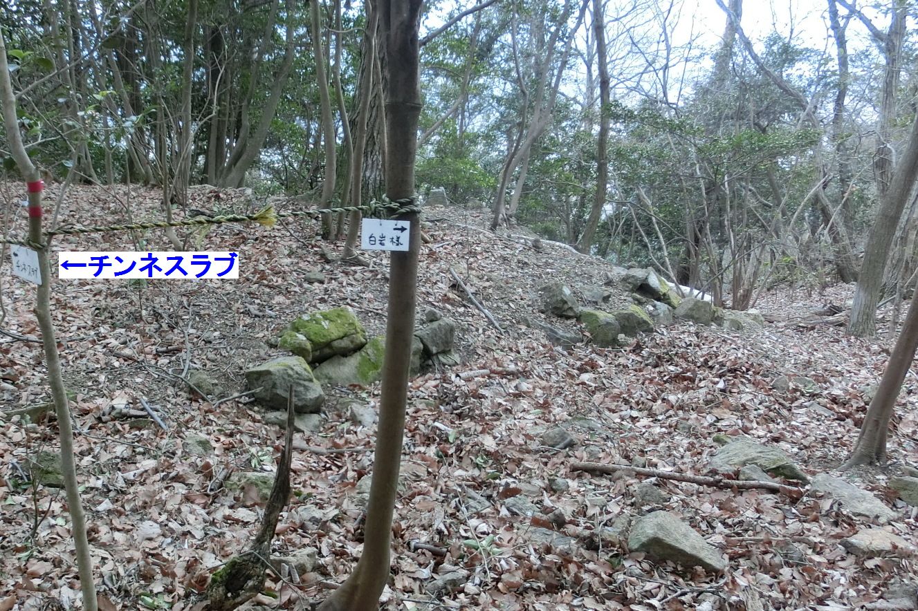 b0185573_1810204.jpg