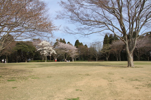 e0114977_192230100.jpg