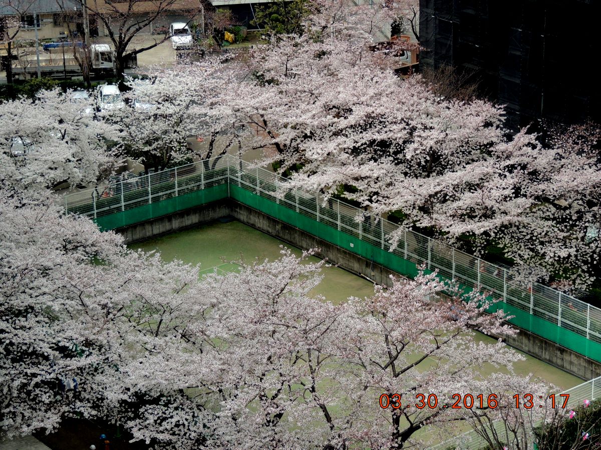 f0104277_14463644.jpg