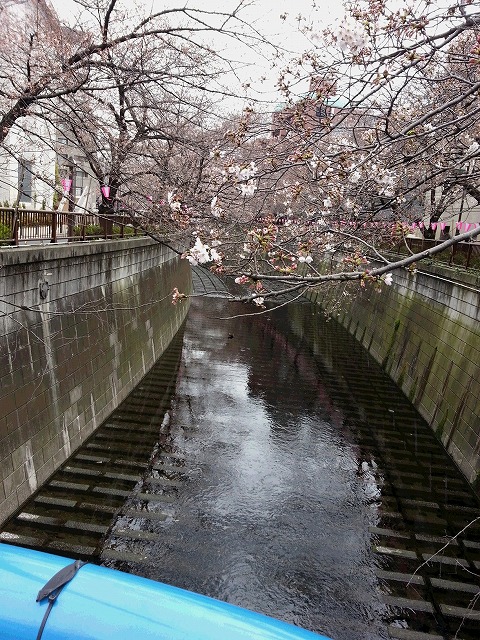 c0189683_13442196.jpg