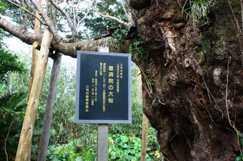 c0204385_23470013.jpg