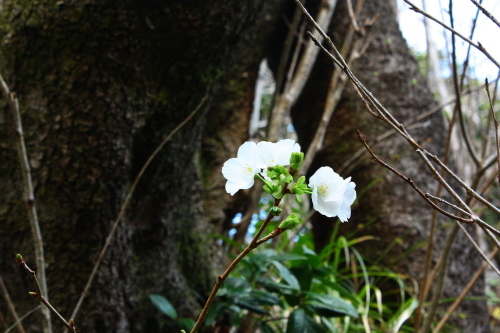 c0204385_23492511.jpg