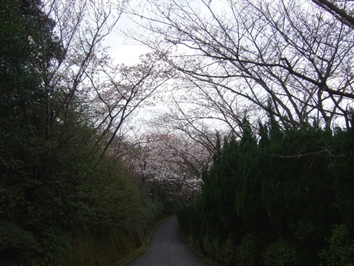 e0086885_20143826.jpg