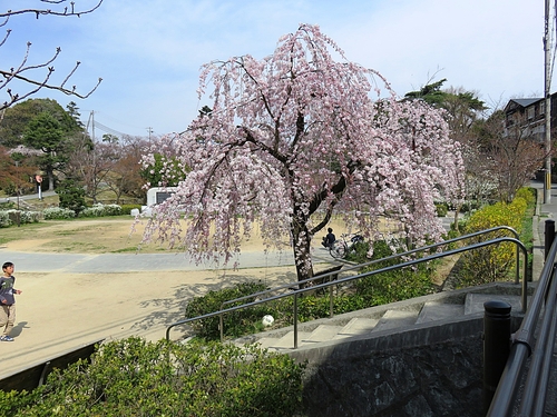 e0340485_14125983.jpg