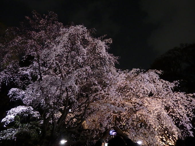 b0197486_8245638.jpg