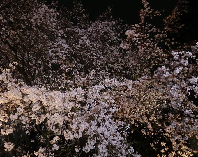 b0197486_8265038.jpg