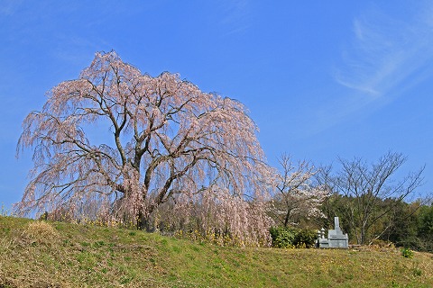 a0222494_9571884.jpg