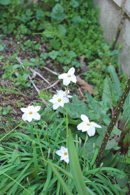 e0025300_20131747.jpg