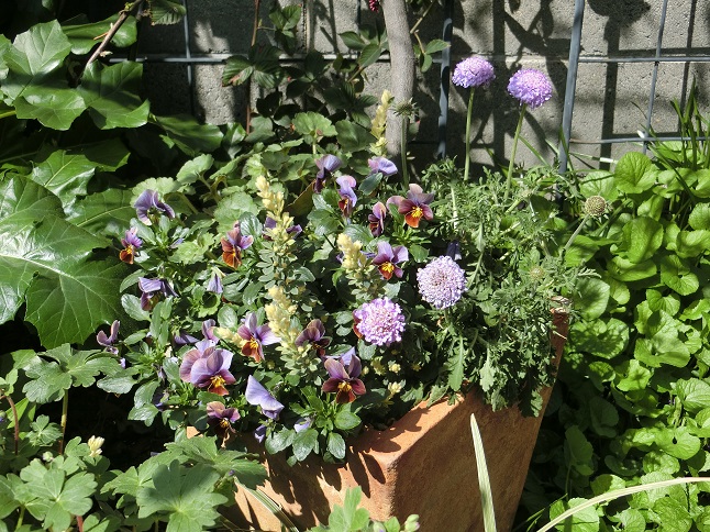 e0234004_2042537.jpg