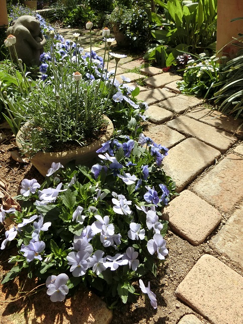 e0234004_20431861.jpg