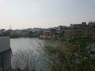 d0091909_772628.jpg