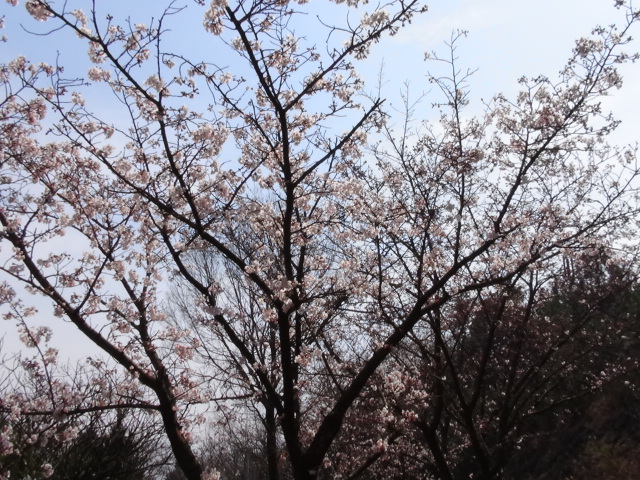 f0231709_83507.jpg