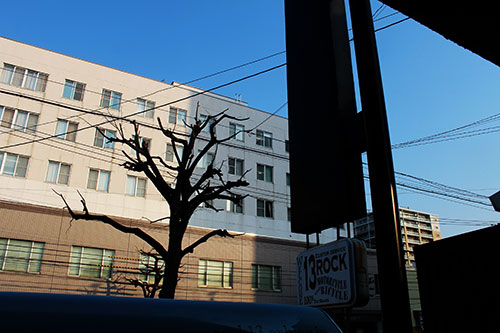 a0139912_6573696.jpg
