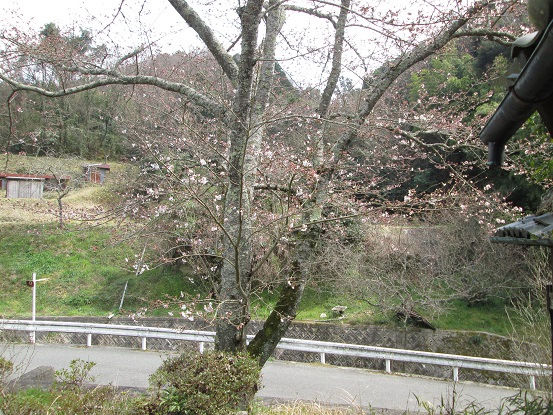 d0200414_15143844.jpg